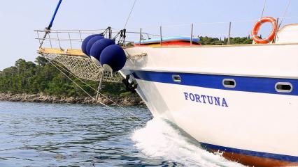 Fortuna Croatia